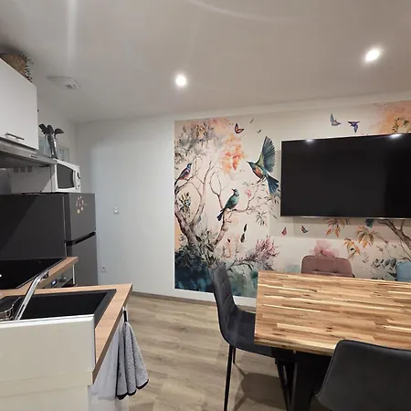 La Voliere Transvaal アパート ディジョン