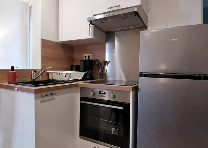 La Voliere Transvaal * ディジョン