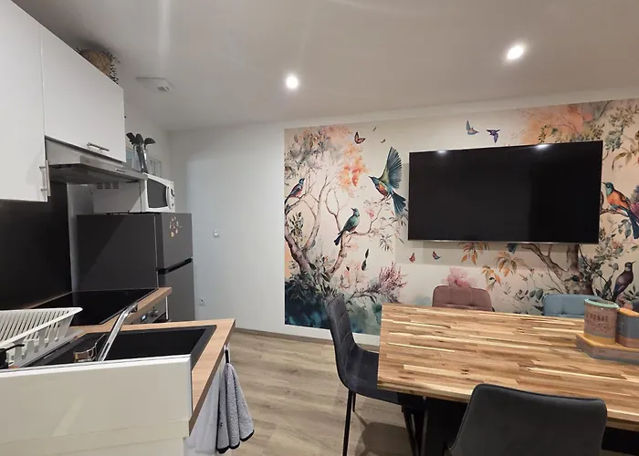 La Voliere Transvaal アパート ディジョン