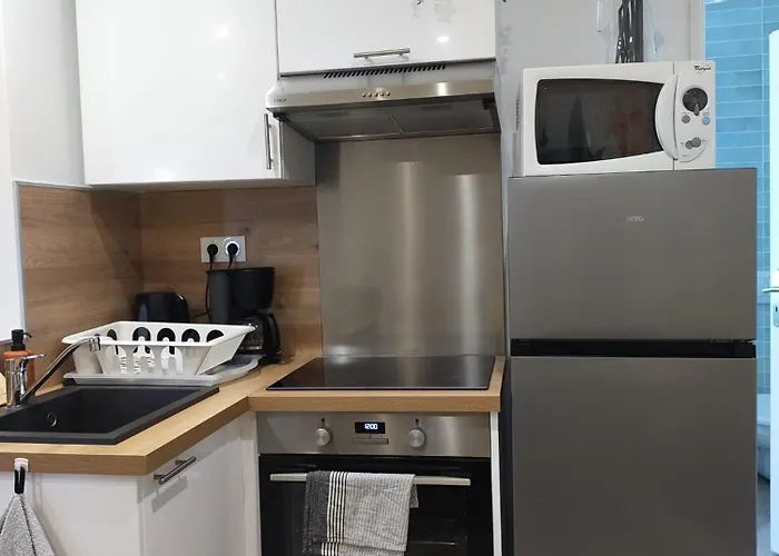 La Voliere Transvaal * ディジョン