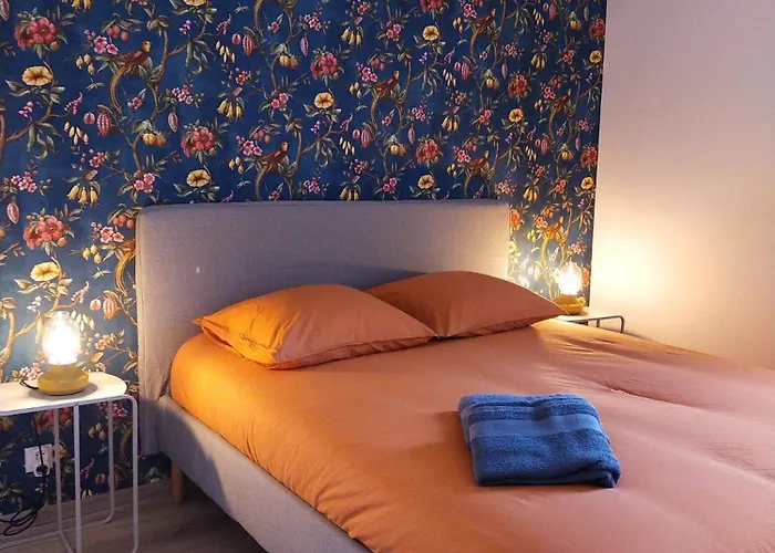 La Voliere Transvaal アパート ディジョン