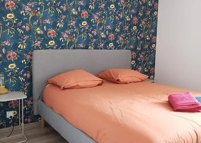 La Voliere Transvaal ディジョン